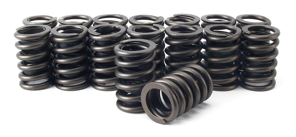 Valve Springs and Shim Kit