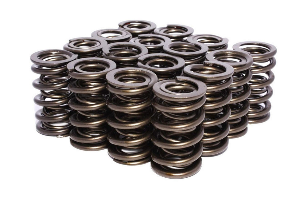 Dual Valve Springs