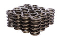 Dual Valve Springs