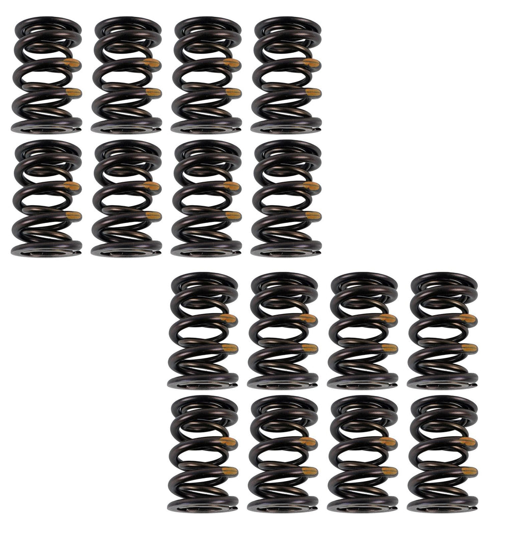 Ford Coyote/Boss 5.0L Valve Spring Kit