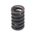 Single Valve Springs (Set of 16)