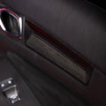 Carbon Door Panel Trim