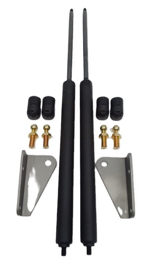 Custom Hood Struts