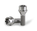 Titanium Wheel Lug Bolt