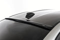 Rear Roof Spoiler