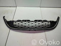 Front Grille