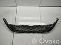 Front Grille