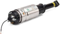 Front Air Strut Assembly