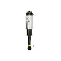 Front Air Strut Assembly