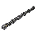 Race Camshaft