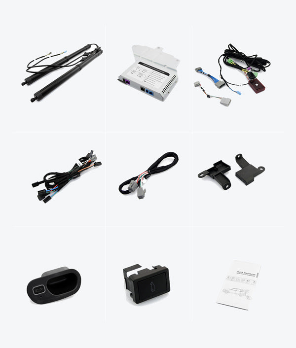 Electric Tailgate Lift Assist System