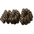 BD Diesel BD 5.9L Cummins Valve Spring Kit 60lbs Dodge 1988-1998 12-valve - 1030060