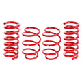 Lowering Springs