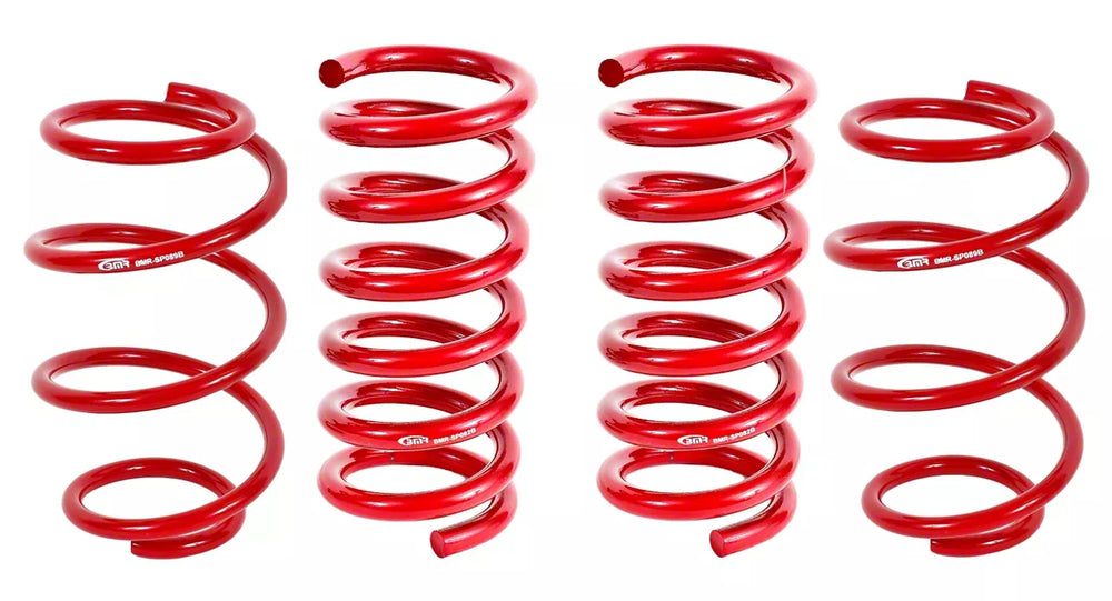 Front and Rear Coil Spring Set