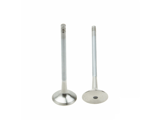 Engine Exhaust Valve