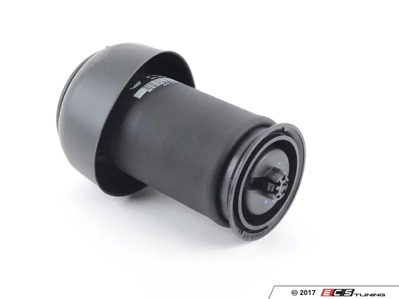 Rear Air Spring