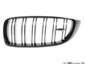 Gloss Black Kidney Grille