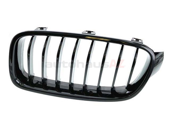 M Performance Kidney Grille, Driver's Side