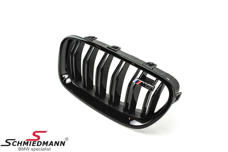 F10 High Gloss Black Grille