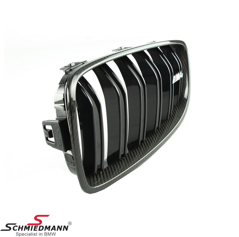 M Performance Carbon Fiber Kidney Grille, Left Side