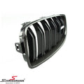 M Performance Carbon Fiber Kidney Grille, Left Side