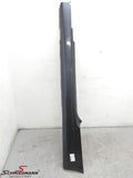 Left Side Skirt Trim