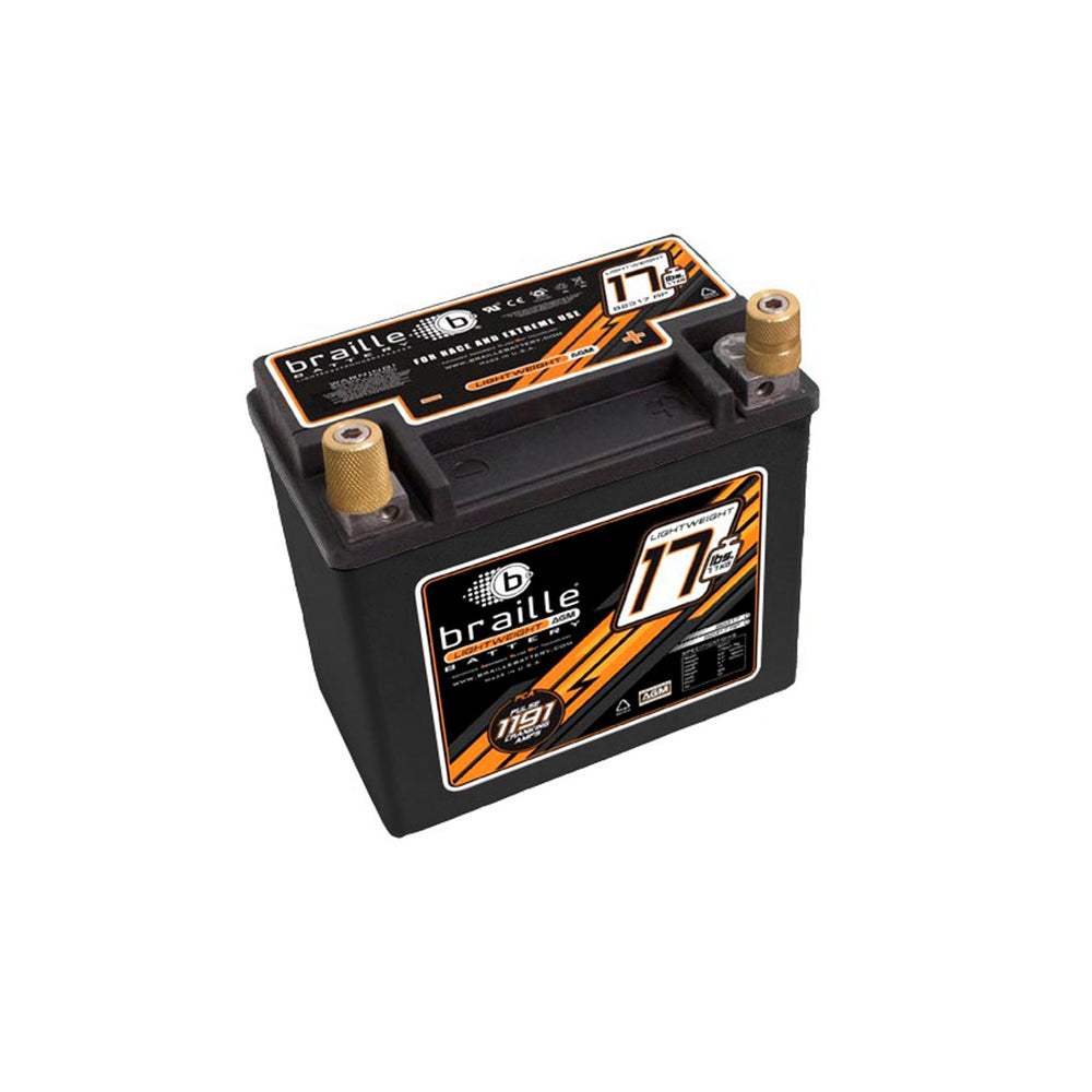 B2317RP AGM Battery, Right Positive Terminal