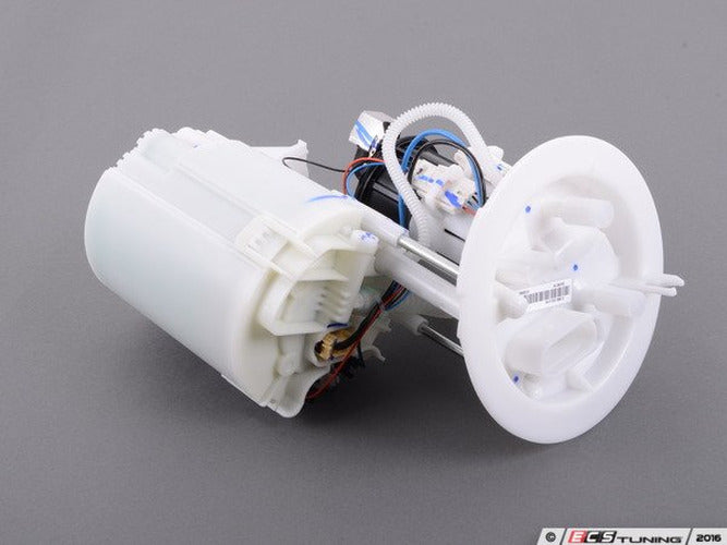 Fuel Pump with Sending Unit and Filter