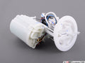 Fuel Pump with Sending Unit and Filter
