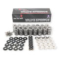 Platinum Dual Valve Spring Kit w/ Locks & Retainers