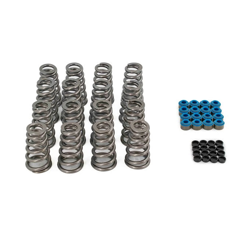 .650" Lift Valve Spring Kit