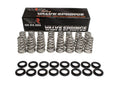 .650" Lift Valve Spring Kit
