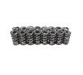 Racing .660" Platinum Dual Valve Springs