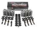 .660" Lift Dual Platinum Spring Kit