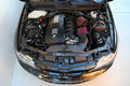 Dual Cone Intake System
