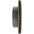 Plain Coated Cast Iron Rotor