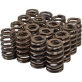 604 Beehive Valve Springs 16