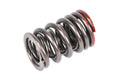 Dual Valve Spring