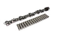 XFI Hydraulic Roller Camshaft and Lifter Kit