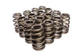 Dual Valve Spring Kit