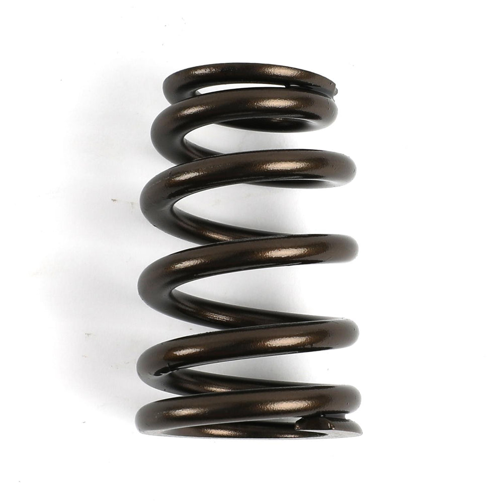 Dual Valve Spring Kit