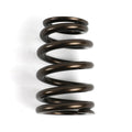 Dual Valve Spring Kit