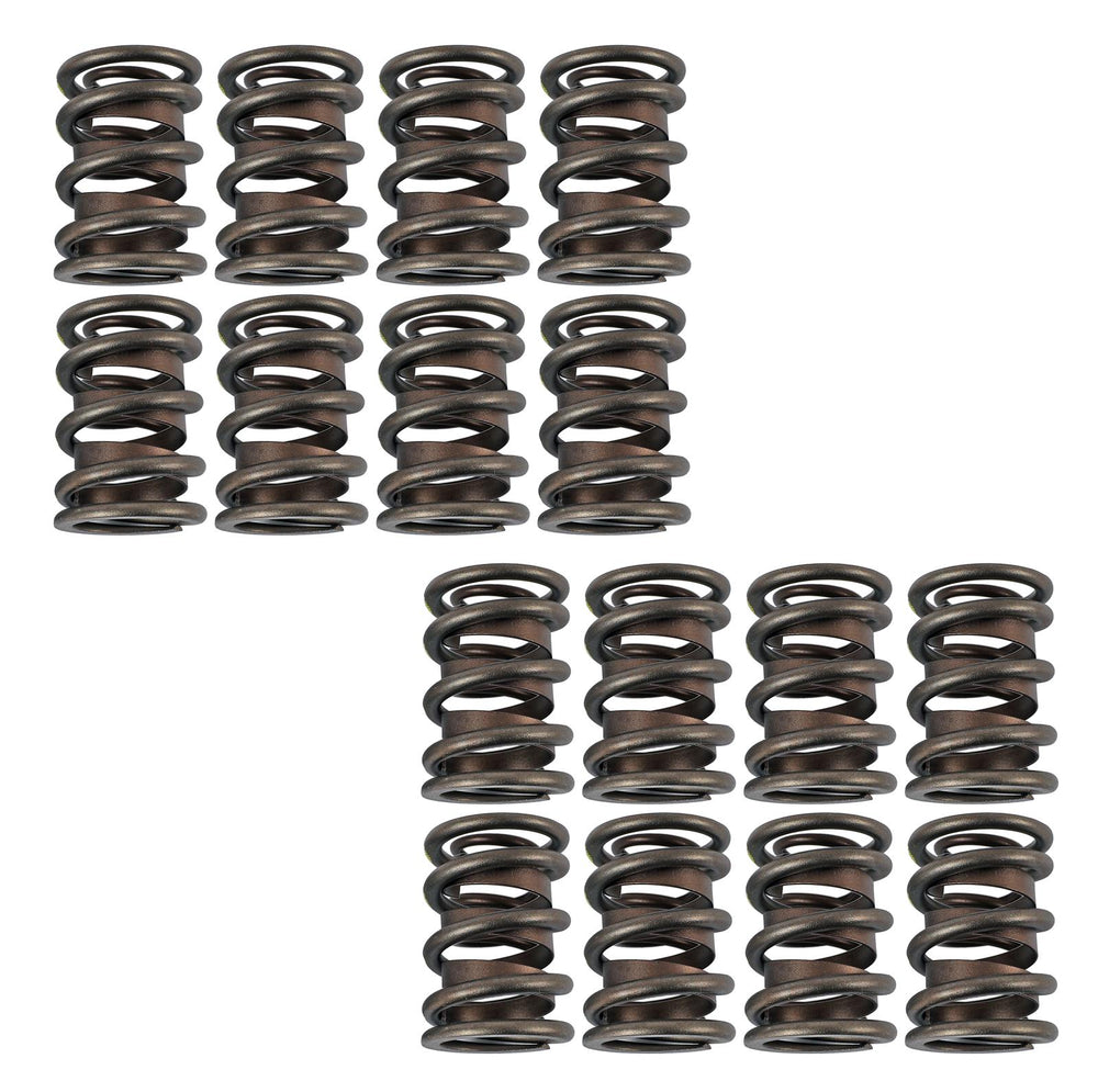 Dual Valve Springs Set (16 Pc)