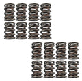 Dual Valve Springs Set (16 Pc)