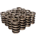 Dual Valve Springs Set (16 Pc)