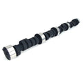 Hydraulic Flat Tappet Camshaft -3