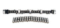 Hydraulic Flat Tappet Camshaft -3