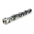 Stage 2 LST 237/248 Hydraulic Roller Camshaft