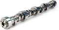 Stage 2 Thumpr Hydraulic Roller Camshaft
