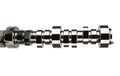 Stage 2 Thumpr Hydraulic Roller Camshaft